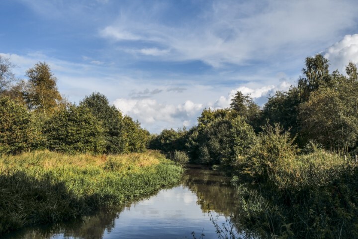 Afbeelding voor evenement Ochtendwandeling in het Olens Broek