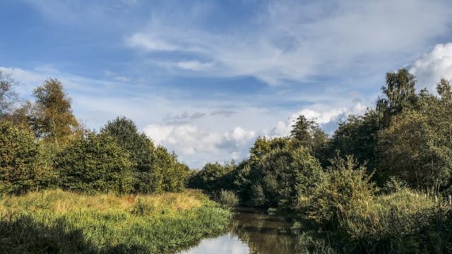 Afbeelding voor evenement Ochtendwandeling in het Olens Broek