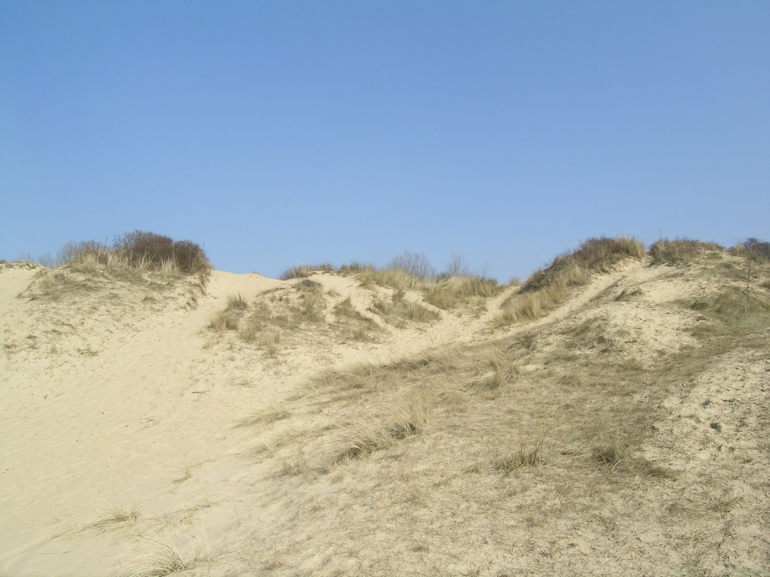 Dwars door de duinen