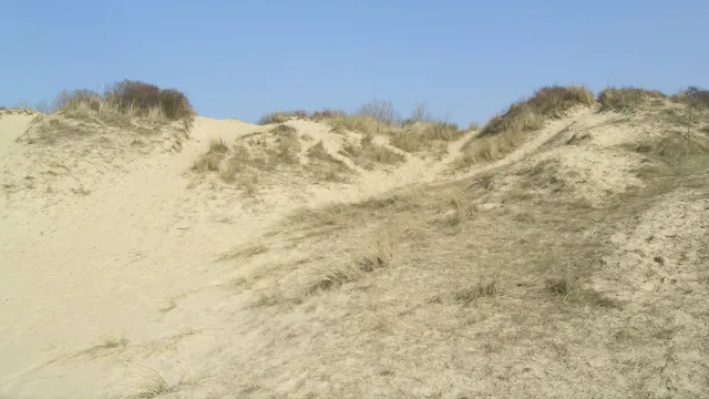 Dwars door de duinen