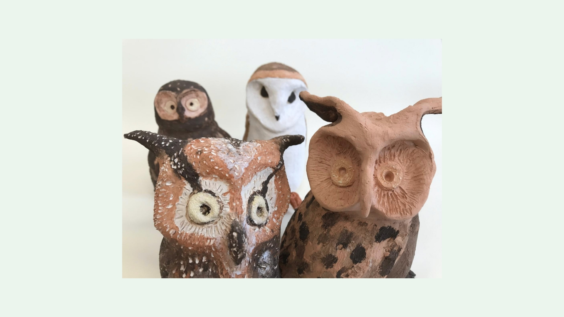 Dieren voor de jeugdboekenmaand