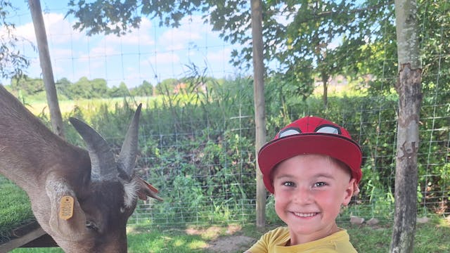 Kamp trots op je talent