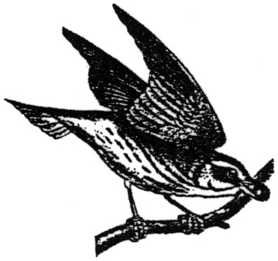 Logo K.V.K. de Koperwiek