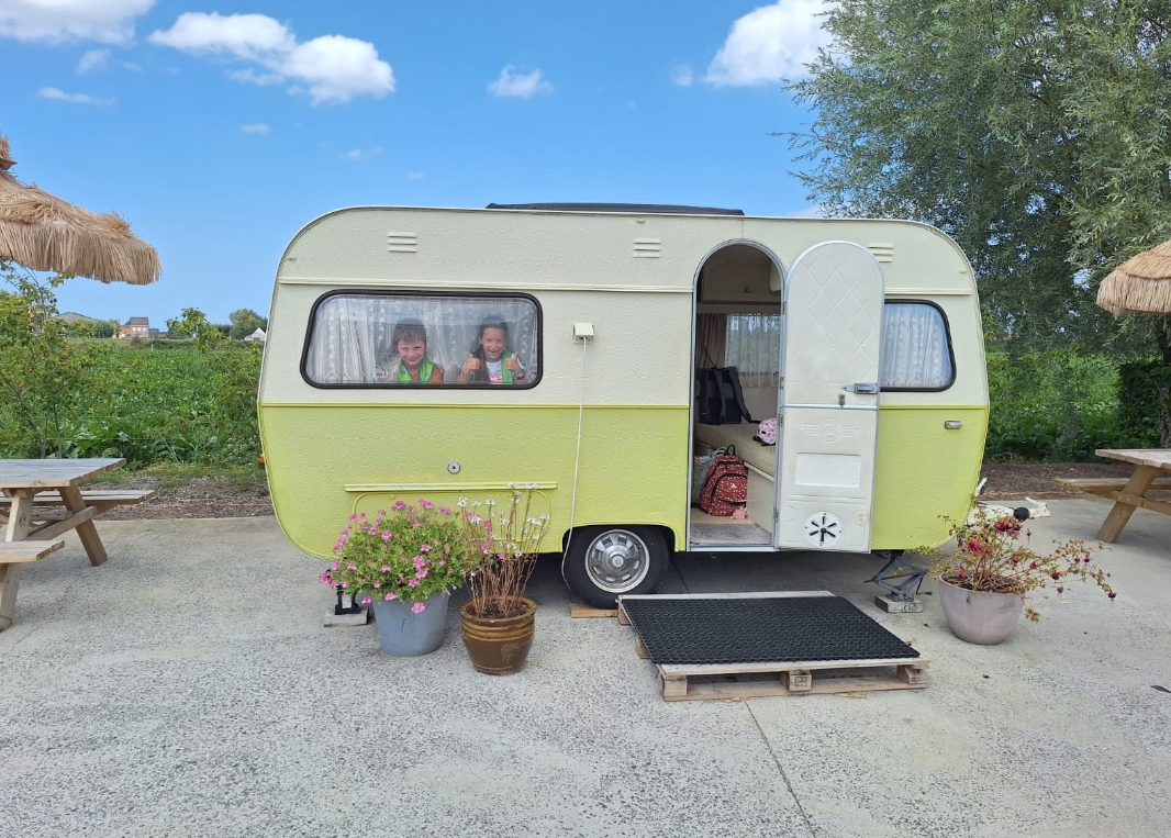 Image for gzbd activity