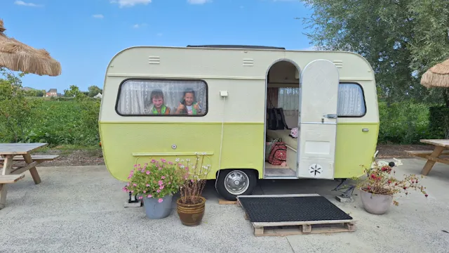 Image for gzbd activity