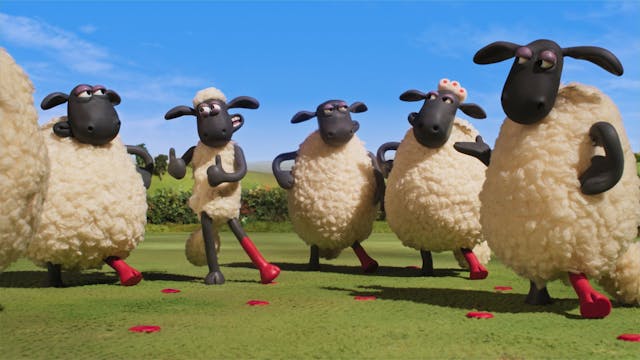 shaun het schaap elke dag feest filmstill 1 - 9.jpeg