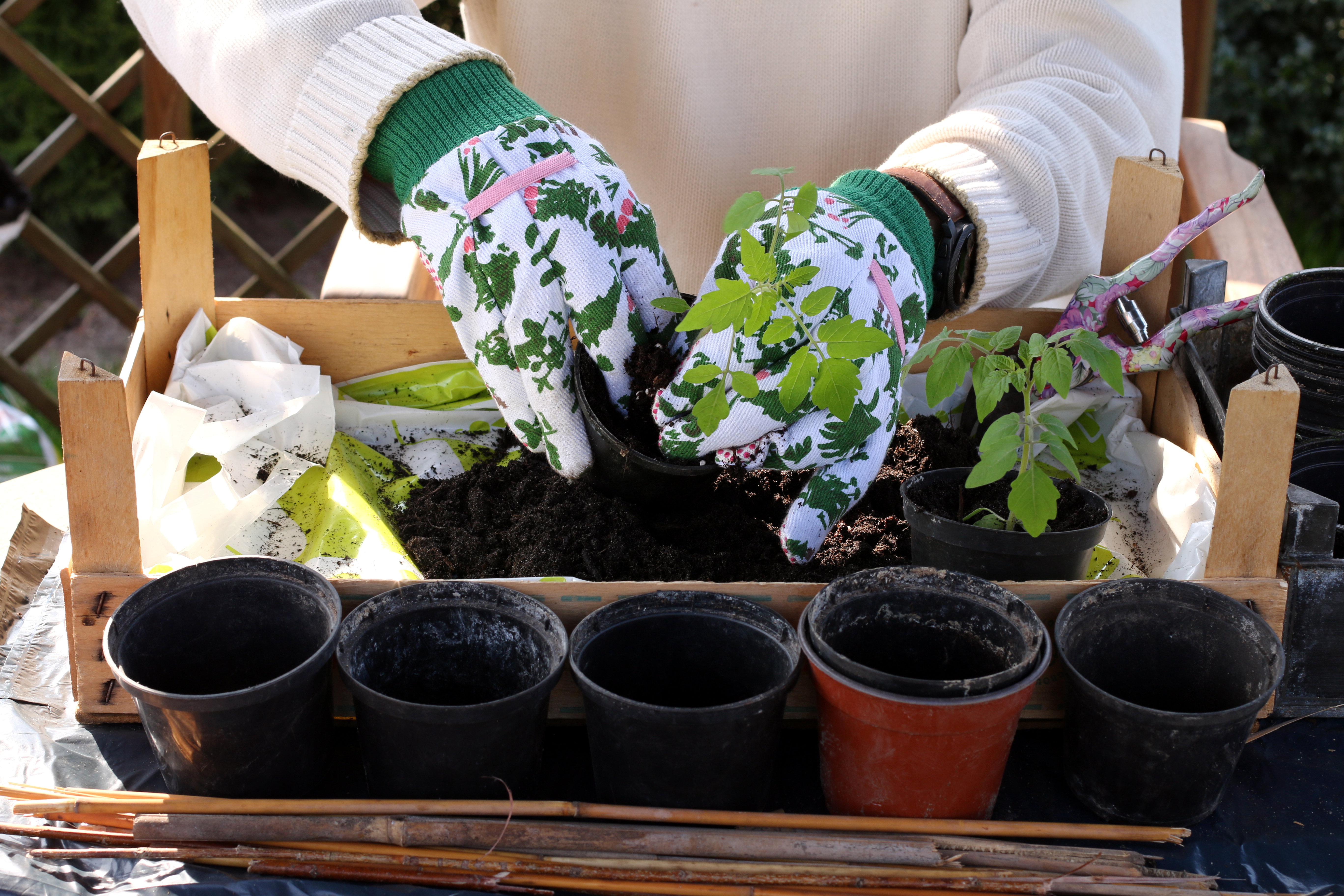 Een tuinier werkt met fleurige handschoenen aan in een bloempot met een plantje in