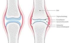 Image for gzbd activity