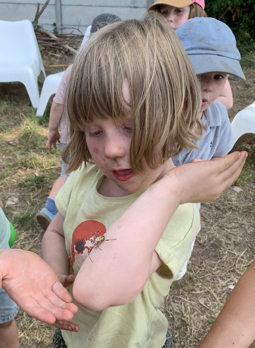 wespenspin @ the hedge