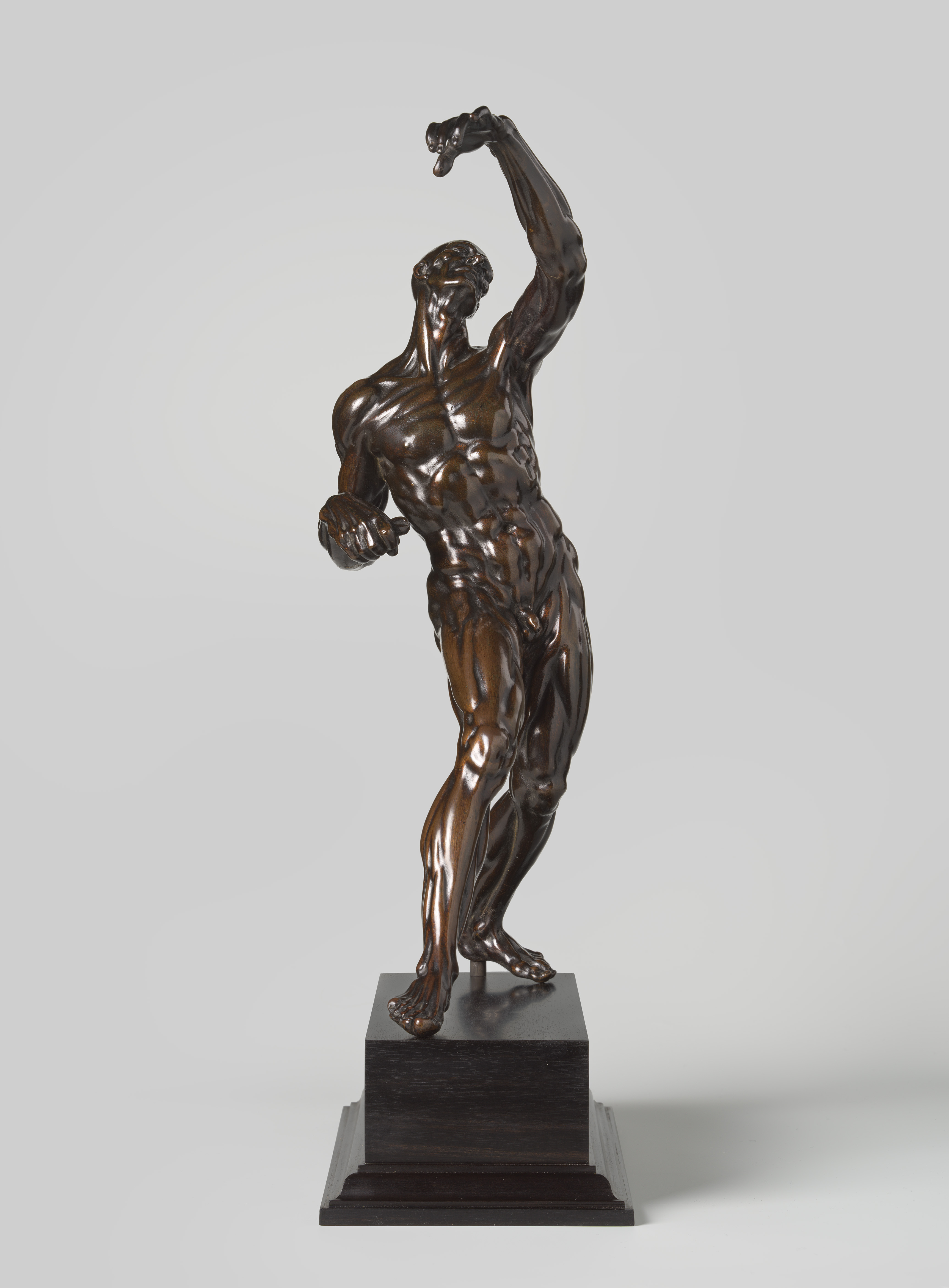 Willem Danielsz. van Tetrode, Ecorché (Spierman), Rijksmuseum. Aankoop met steun van de VriendenLoterij en de heer H.B. van der Ven, Den Haag