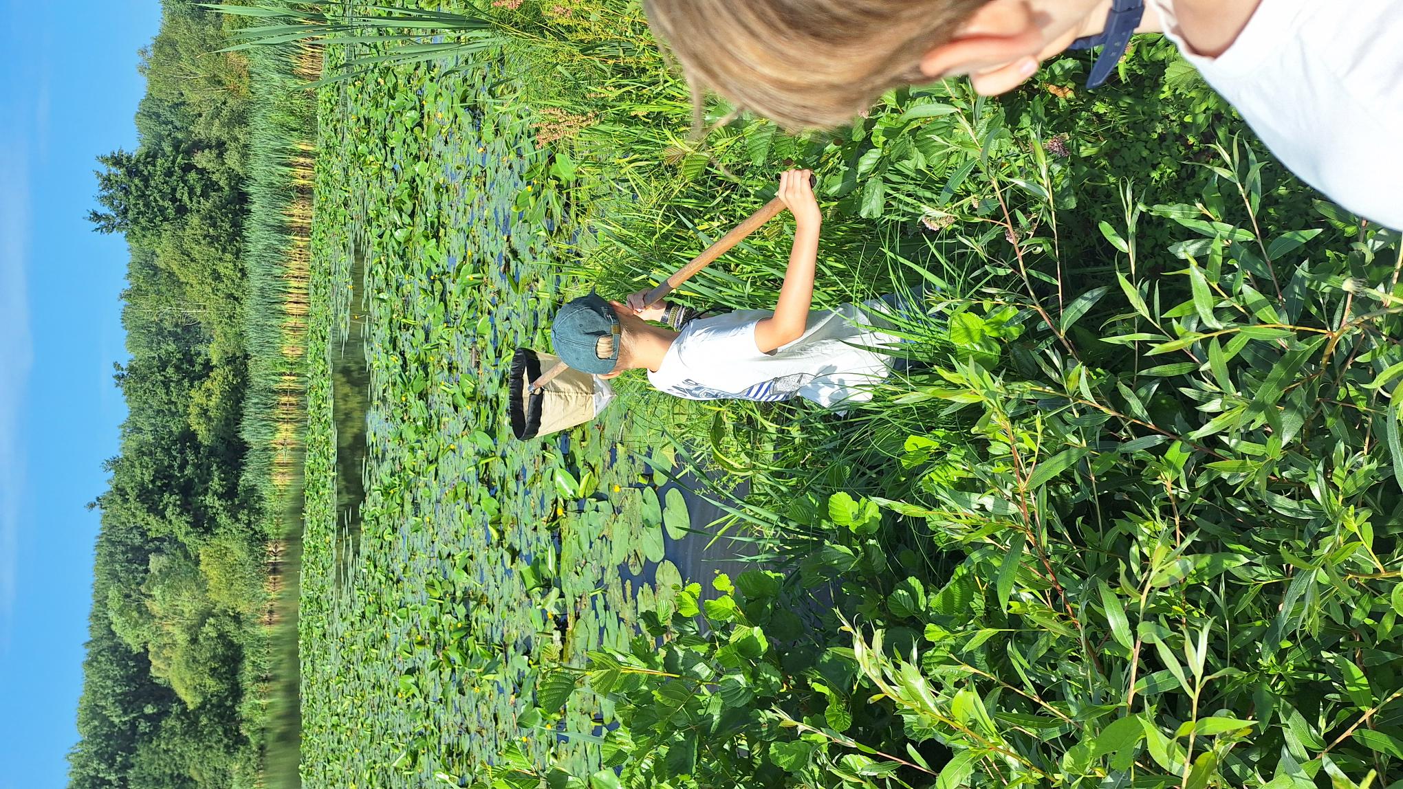 Waterdiertjes vangen met VZW Durme