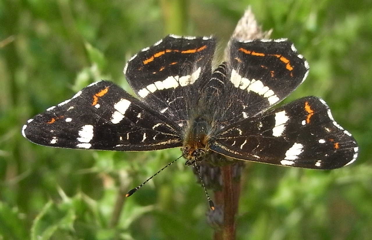 Rondleiding in het Frans