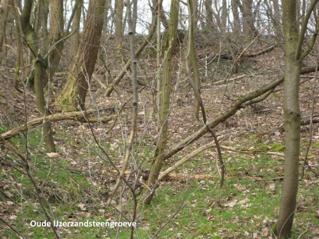 De oude ijzerzandsteengroeve op de Osseberg