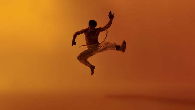 Martial Arts - Capoeira