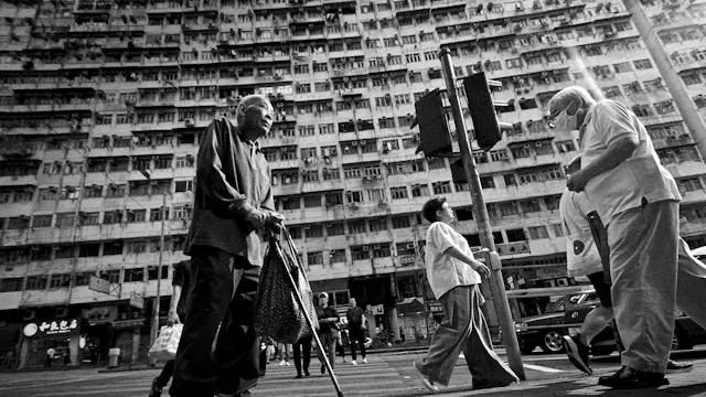 Isabel Mombaerts - The quiet observer hears the whispers of the world