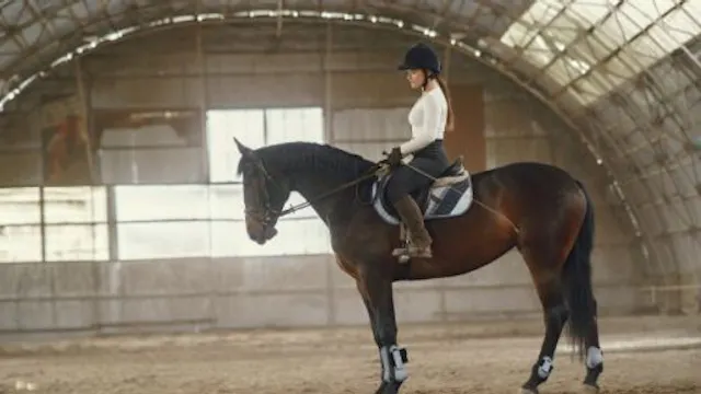 GEMEENTEBESTUUR KNOKKE-HEIST