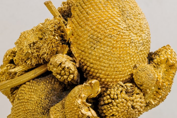 IVY - Hedendaagse kunst in het spoor van Vincent Van Gogh in Zwalm