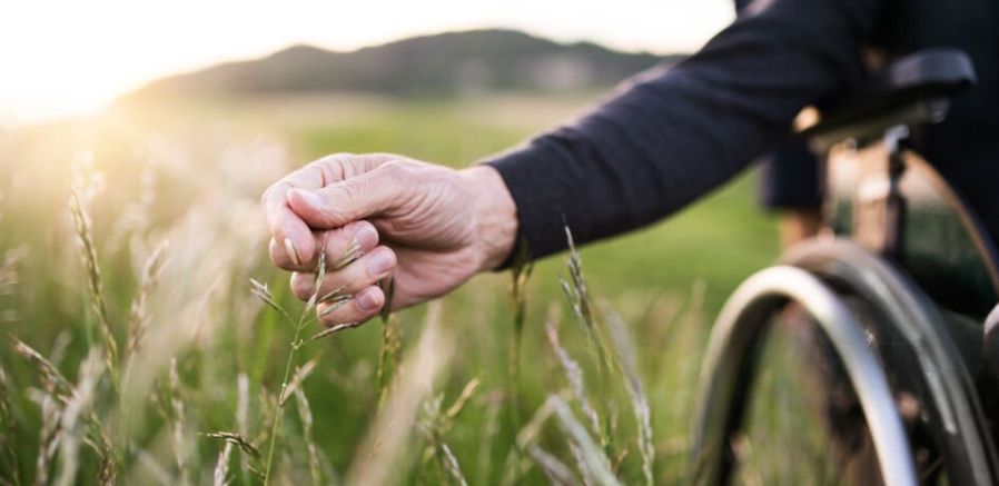 Rolstoelgebruiker geniet van de zomerse natuur