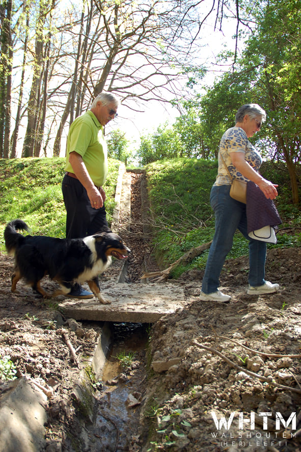 WHTM Hondenwandeling