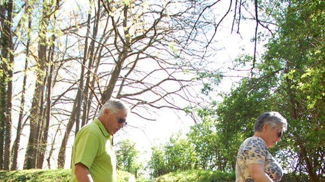 WHTM Hondenwandeling