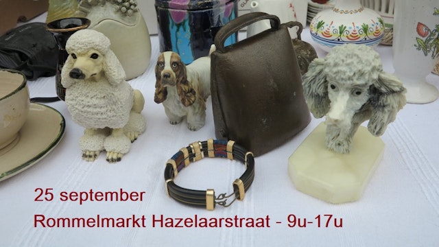 Rommelmarkt: Hazelaarstraat