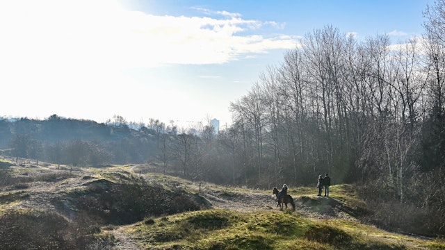 Plaatsduinen