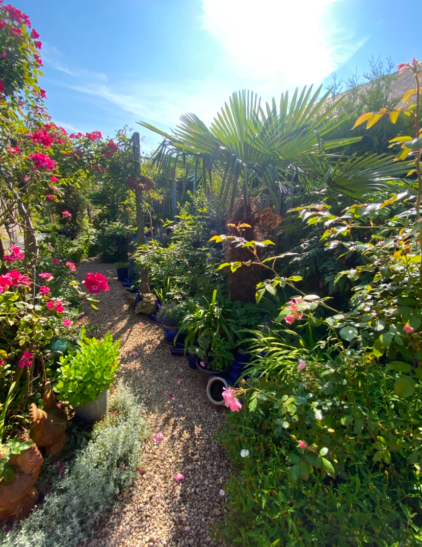 Een tuin met vele romantische hoe