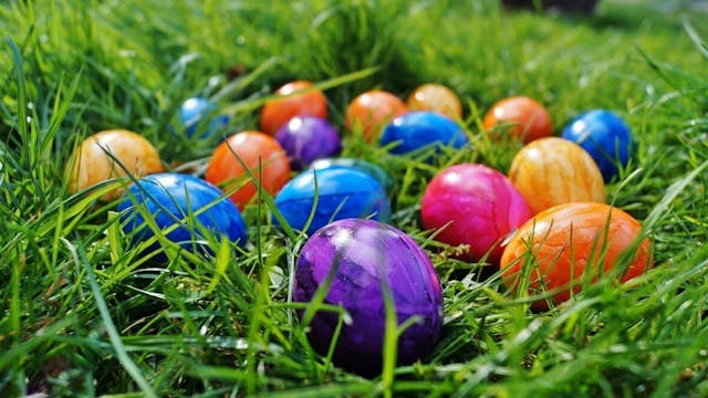 Image for gzbd activity