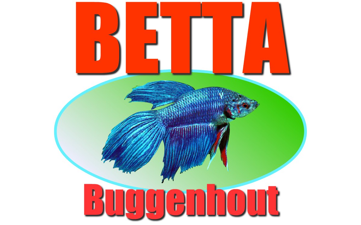 Logo Betta vzw