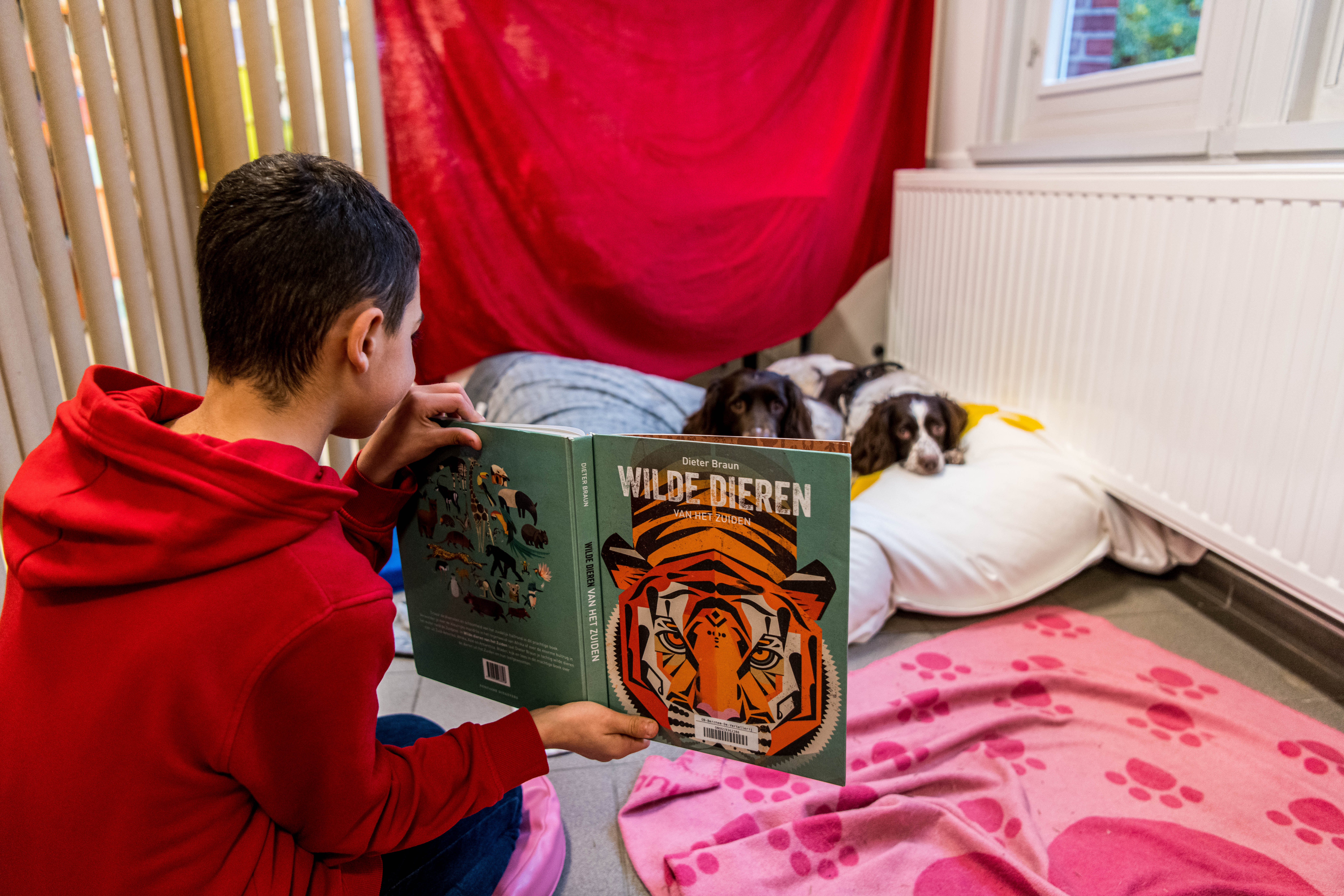 voorlezen aan een hond