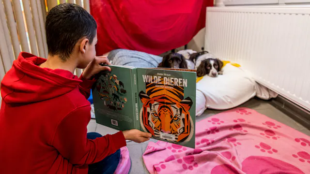 voorlezen aan een hond