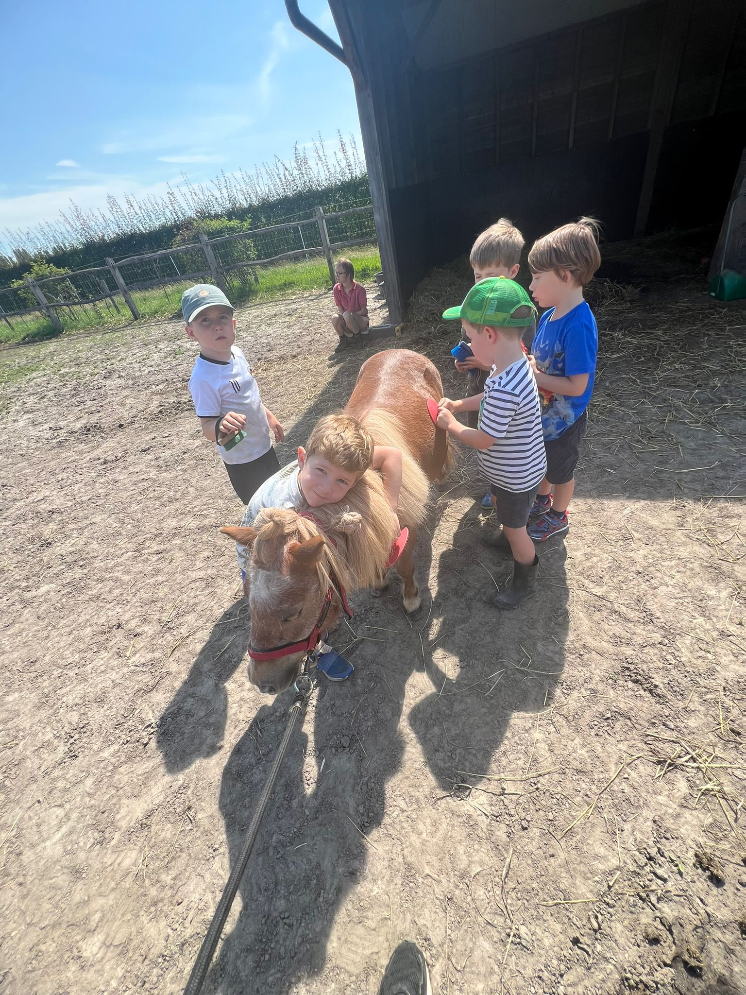 Kindjes op bezoek bij Saartje de shetlandpony