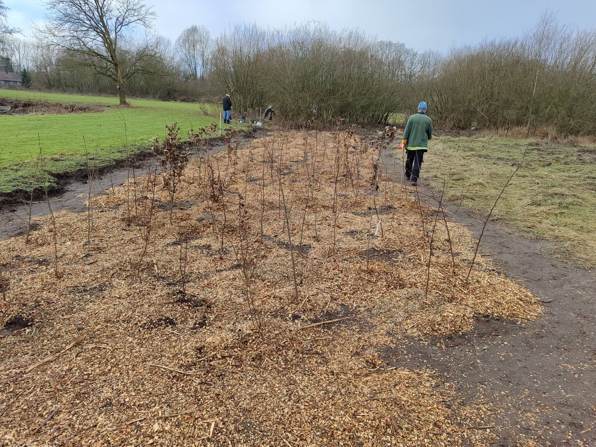 Toonmoment - 1000 BOMEN VOOR ONS KLIMAAT