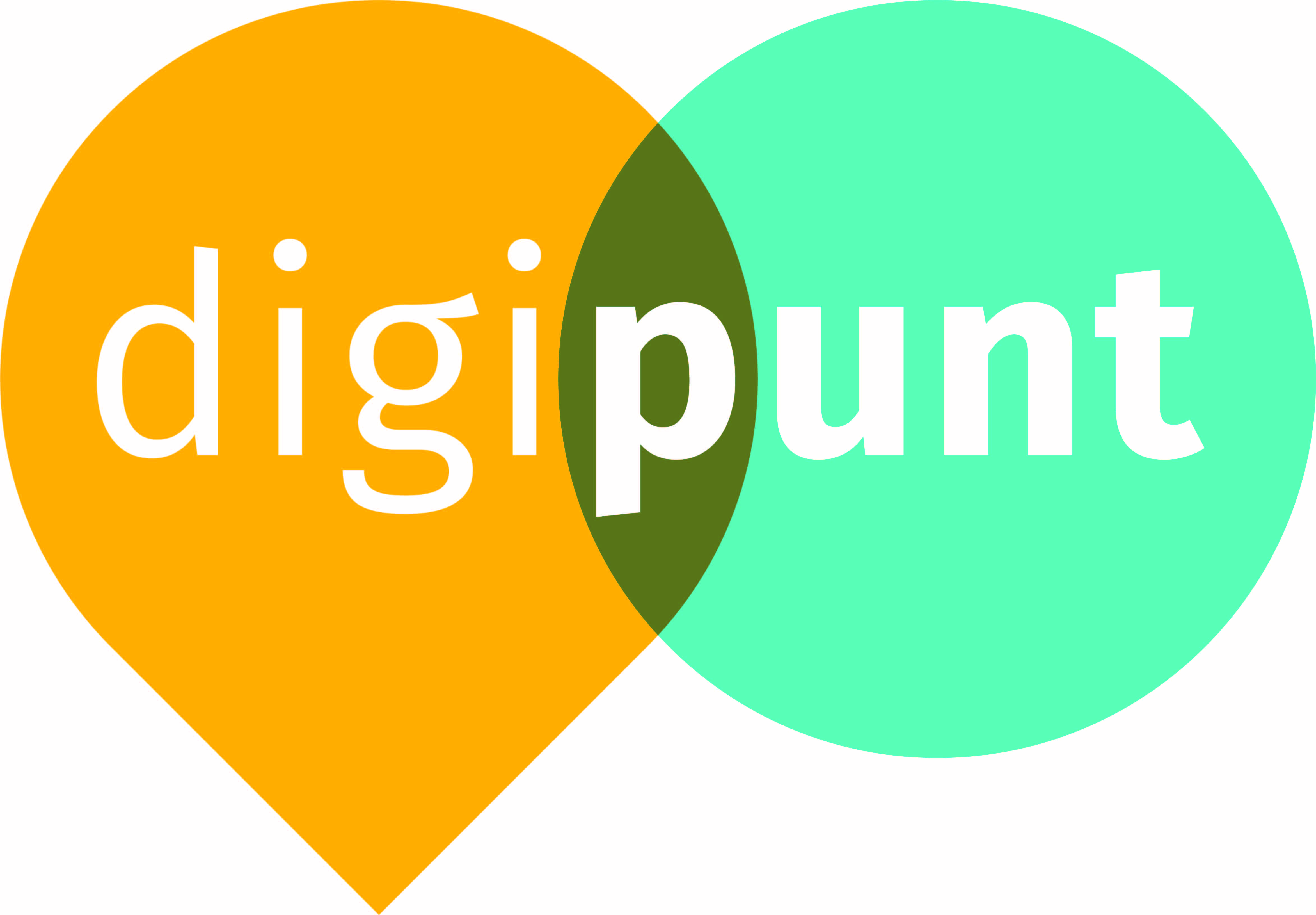 digipunt