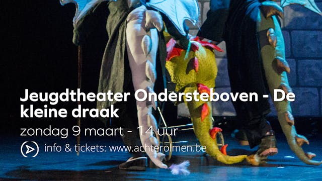 mensen verkleed als draak