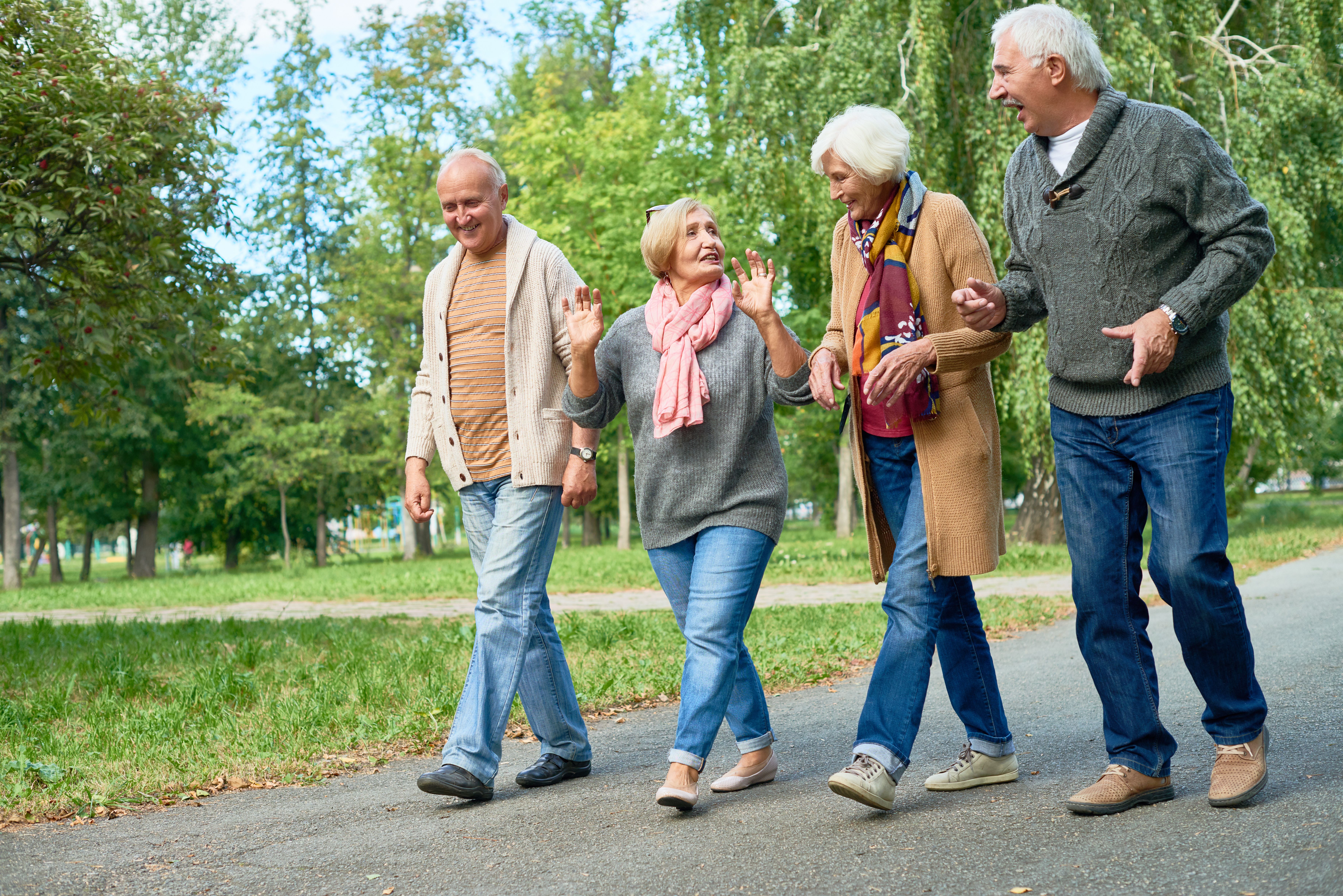 mensen wandelen en babbelen in de natuur