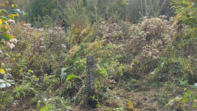 Natuurpunt