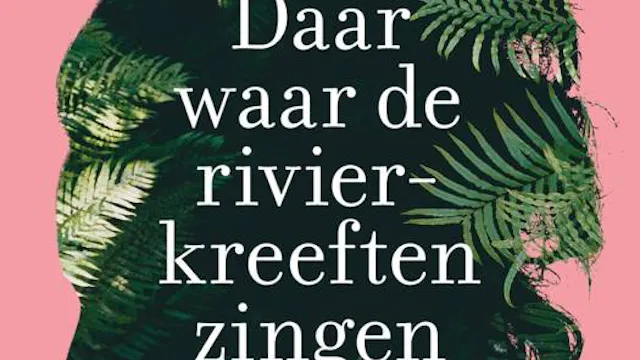De Boekerie: DOwens 26