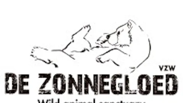 Zonnegloed