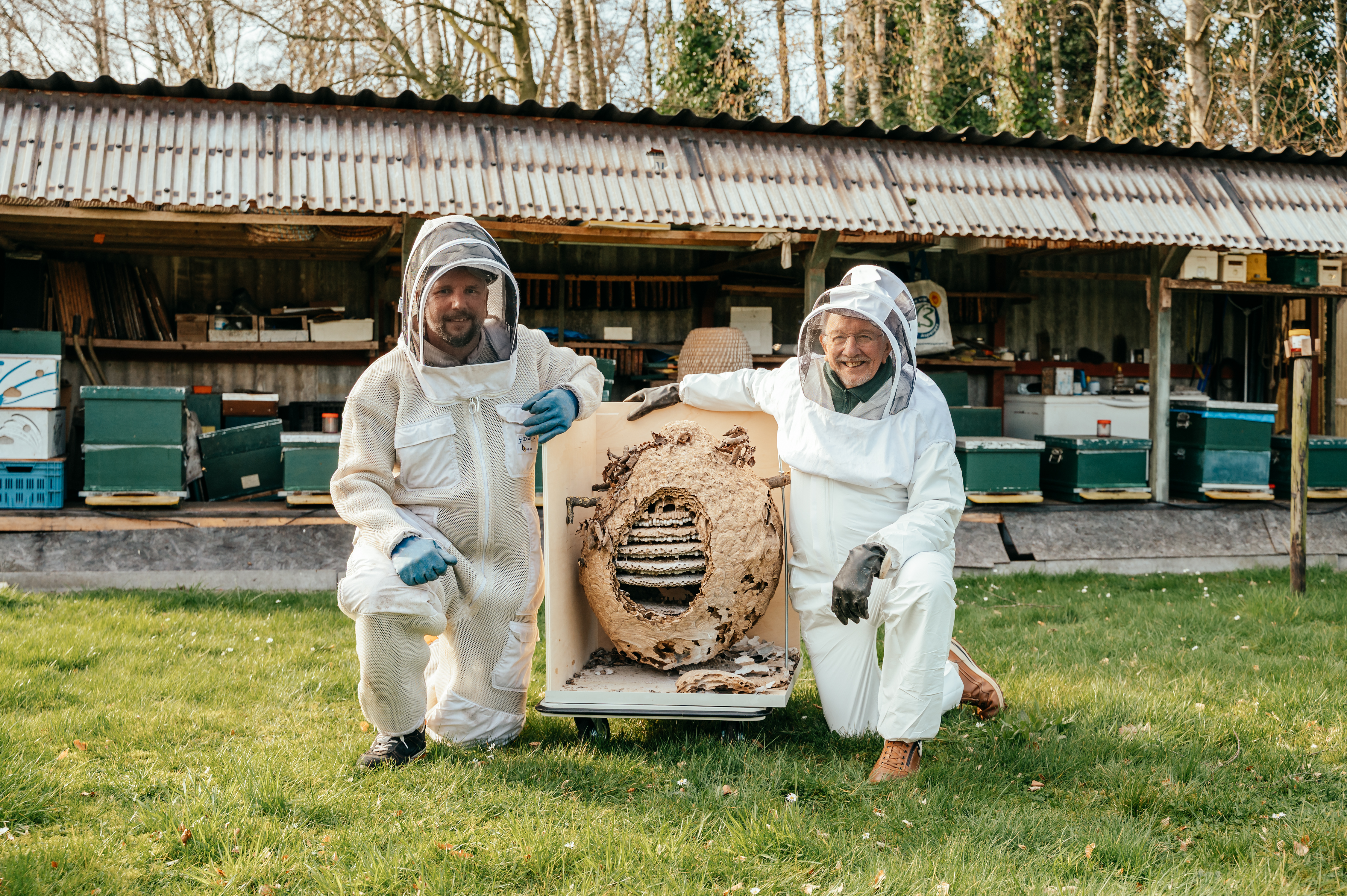 Twee imkers bij een nest van een Aziatische hoornaar