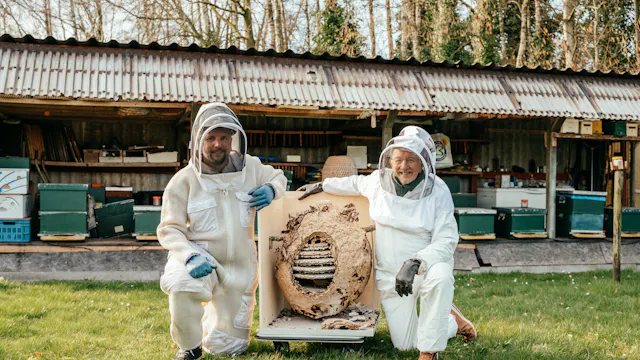 Twee imkers bij een nest van een Aziatische hoornaar