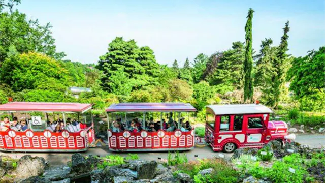 VK visite I Huizingen