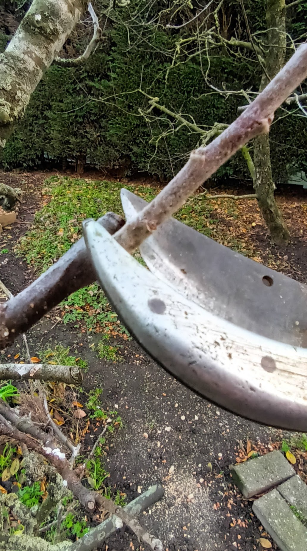 Snoeien laagstam (leibomen) en halfstam appel- en perenbomen.