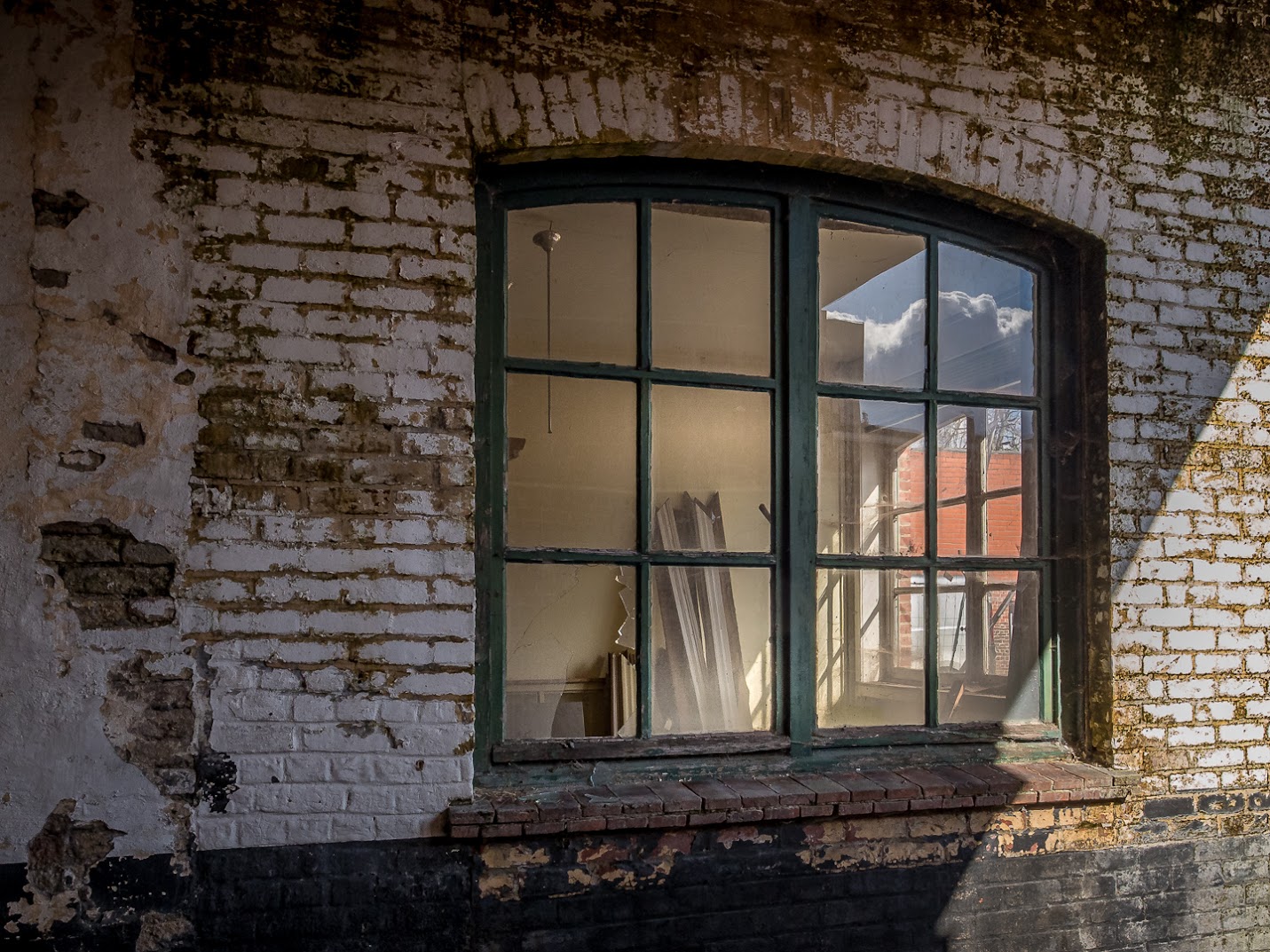  Fotogroep Knipoogje verrast met een boeiende variëteit in een vlekkeloos vertoon.
