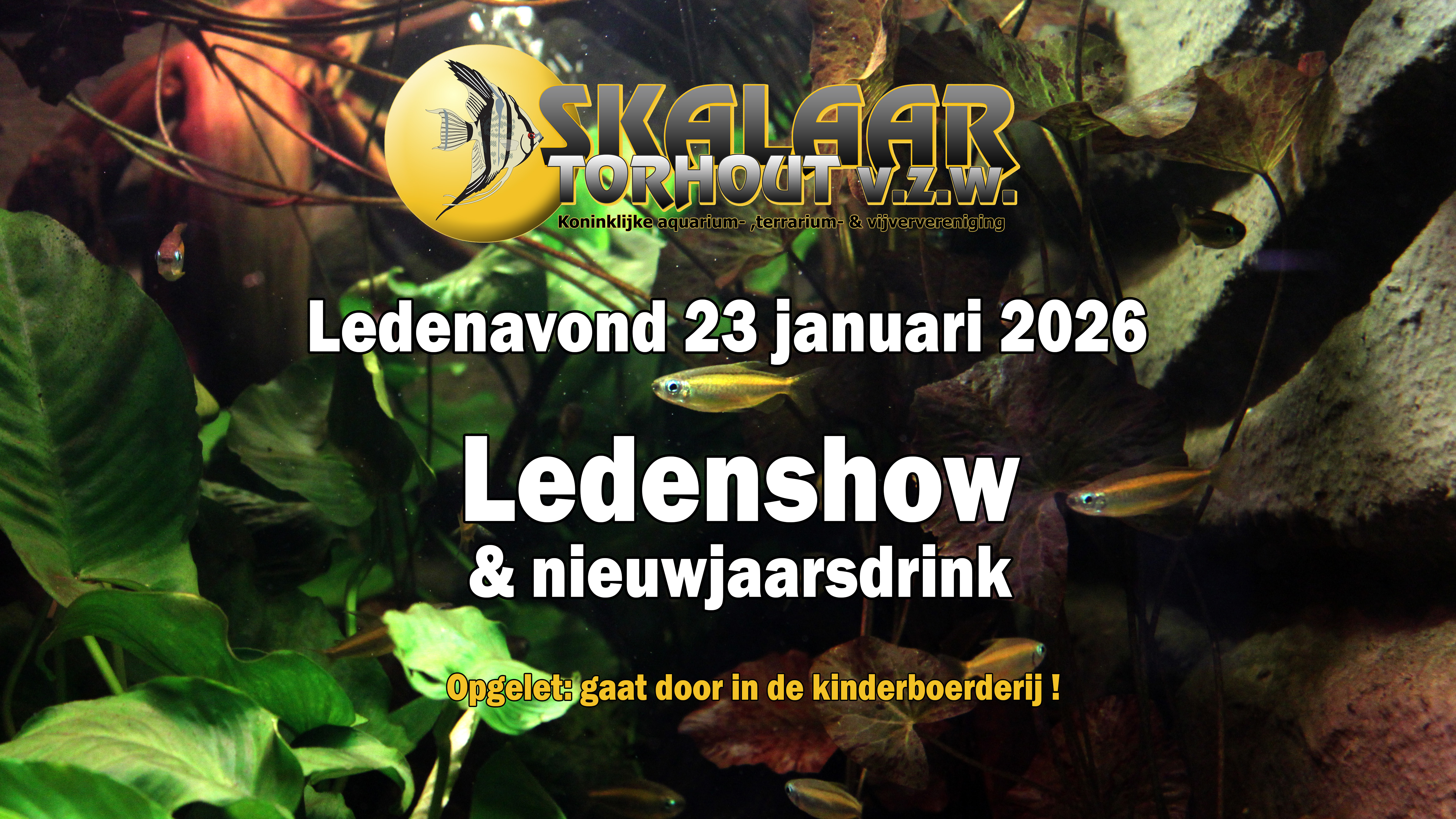 Ledenshow en nieuwjaarsdrink