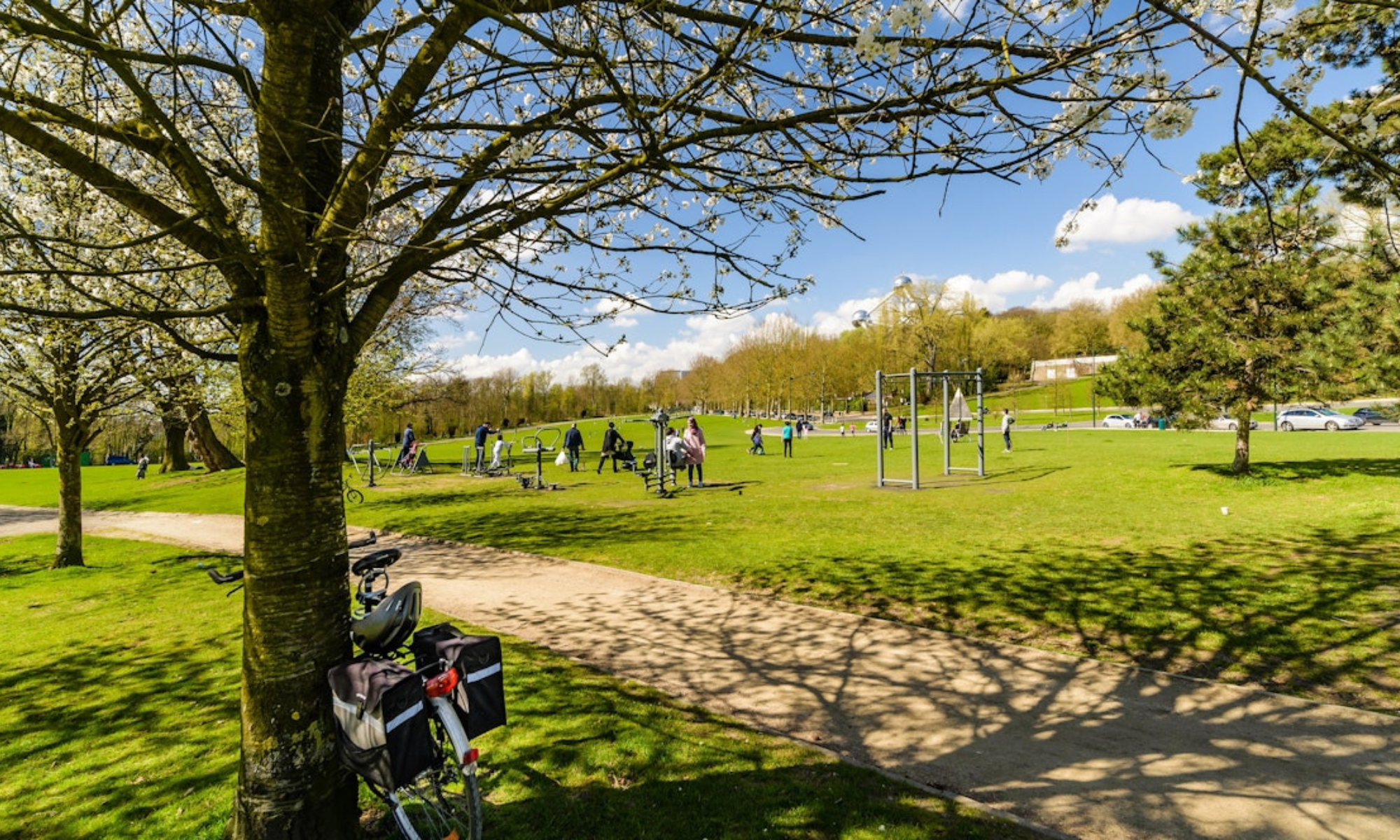 Schaak en sport in het park