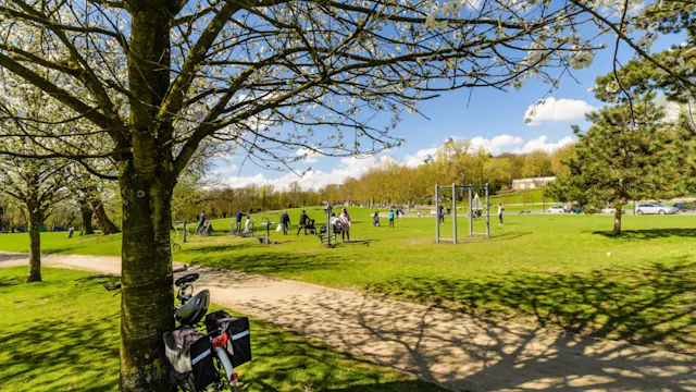 Schaak en sport in het park
