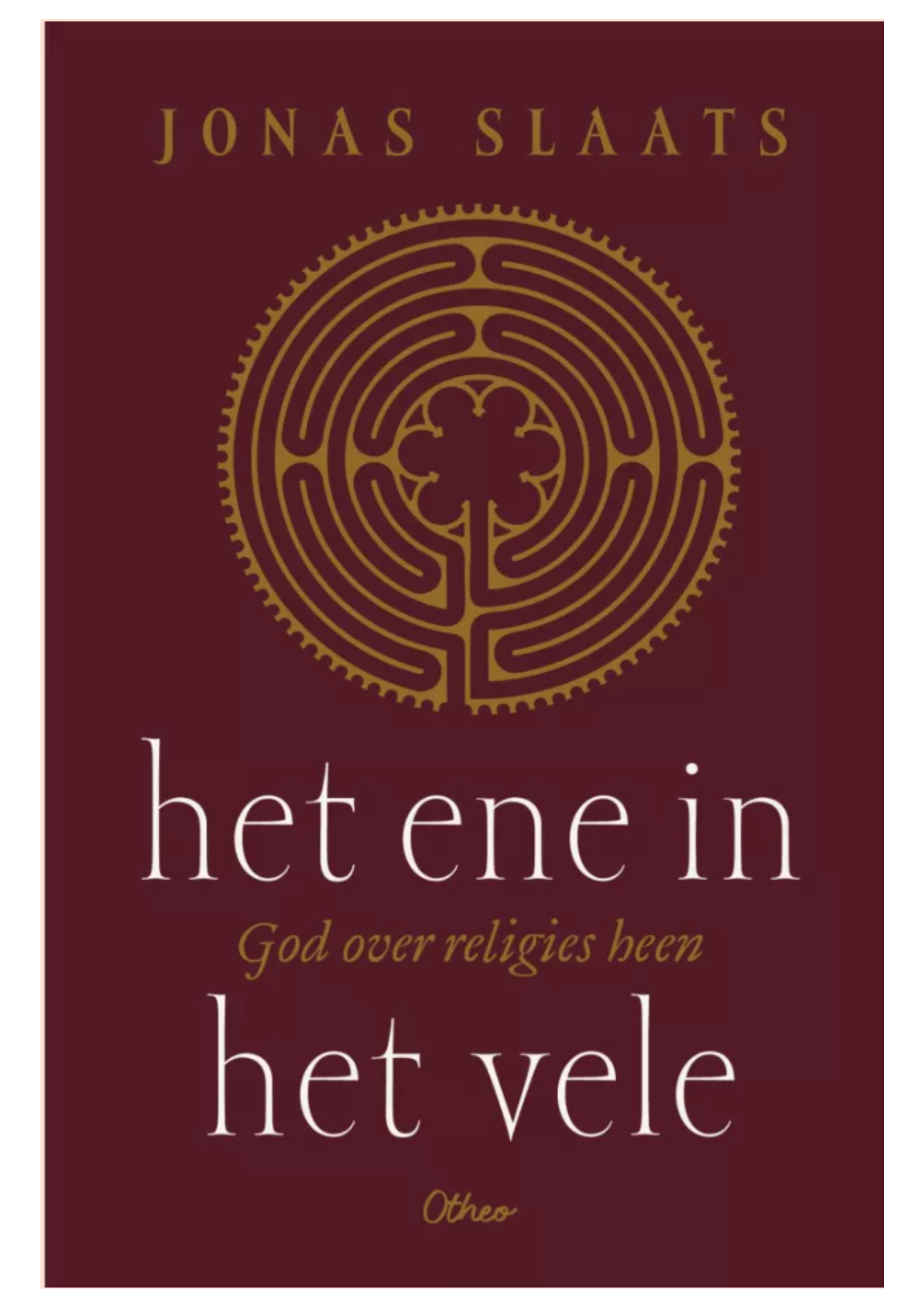 Cover boek Jonas Slaats: Het ene in het vele