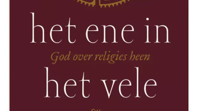 Cover boek Jonas Slaats: Het ene in het vele