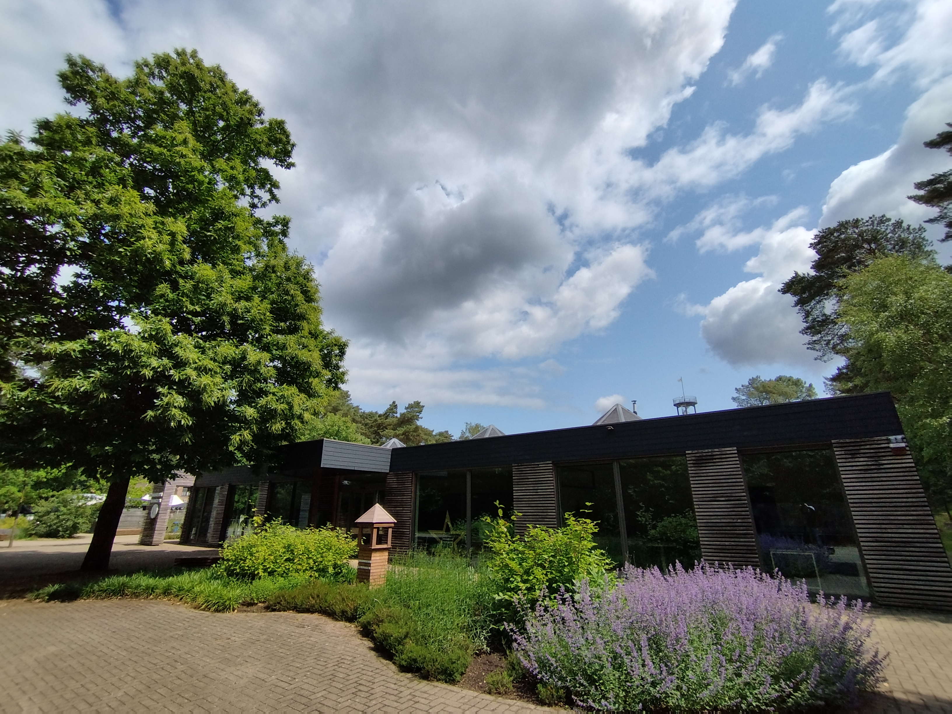 Bosmuseum_ voorgevel & ingang